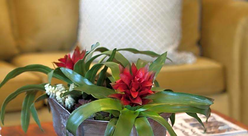 Hermanus Guest House