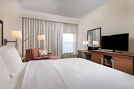 King Room with King Bed - Non-Smoking