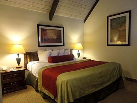 Standard Suite