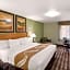 Quality Inn & Suites Plano