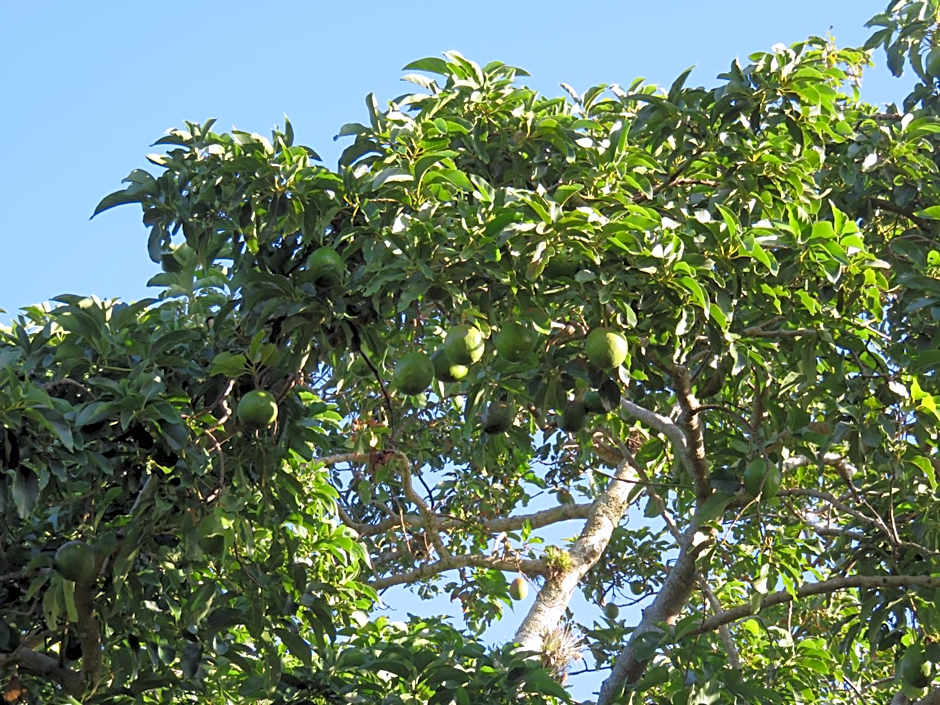 Pousada Biso Finoca Ibiraquera