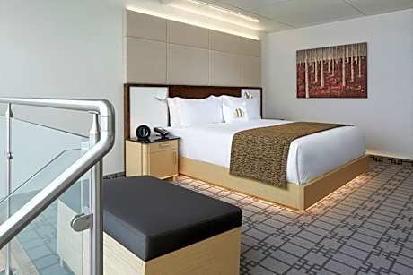 Sky Loft Suite with Terrace