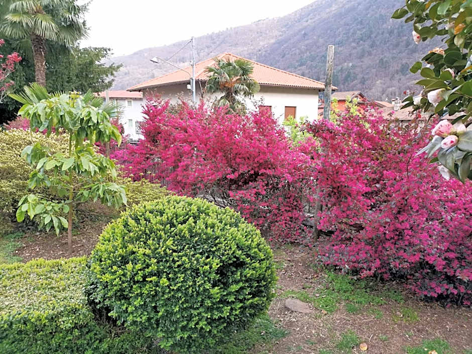 B&B Villa Dei Pini