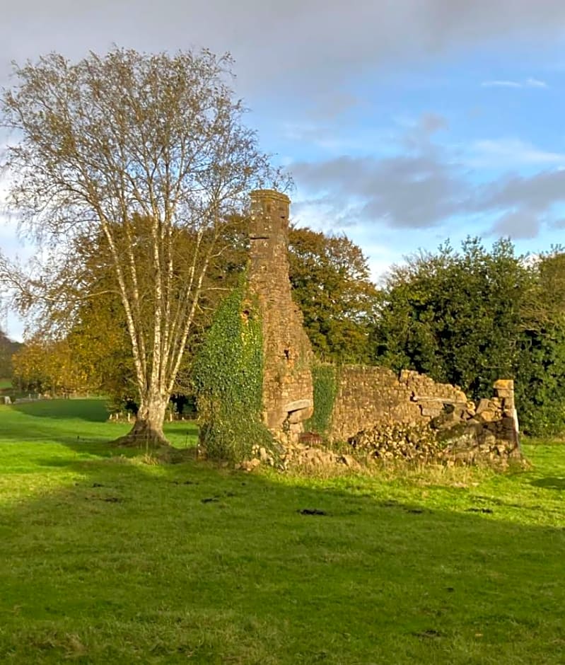 Terre de rêveries