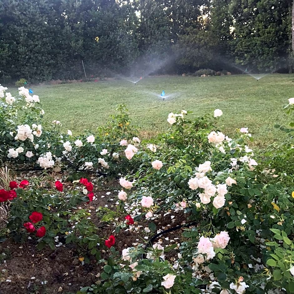 B&B Villa FioreConero