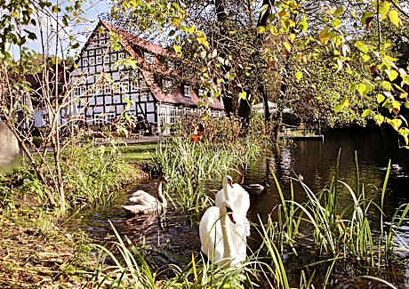 Springbach-Mühle Belzig