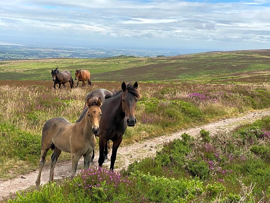 Pardlestone Farm B&B