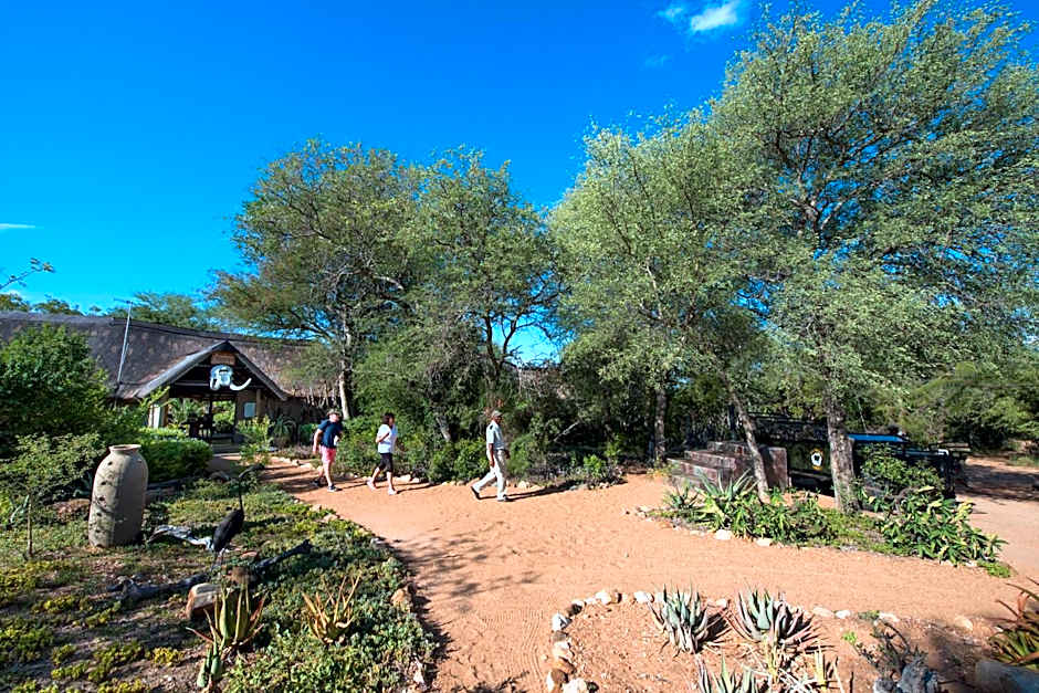 Kambaku Safari Lodge