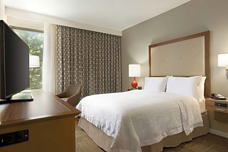 ROOM, QUEEN BED, ACCESSIBLE