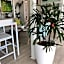 Le 81 HOTEL