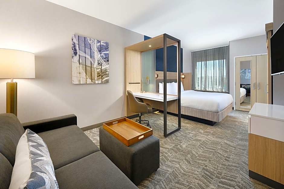 SpringHill Suites by Marriott Dothan