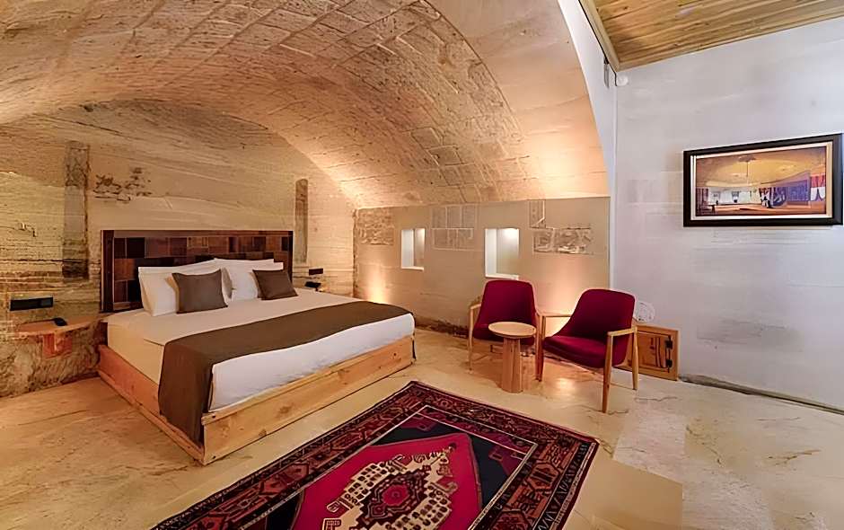 Concept Cave House