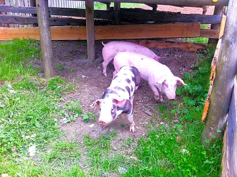 Kinderhotel Appelhof