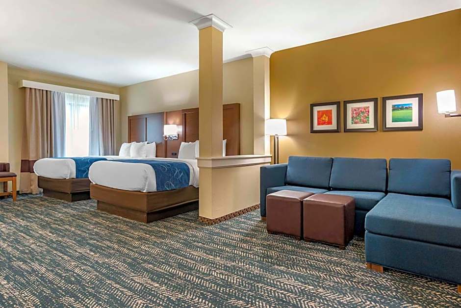 Comfort Inn & Suites Downtown near University