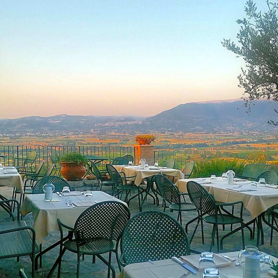 Il Poggio degli Olivi