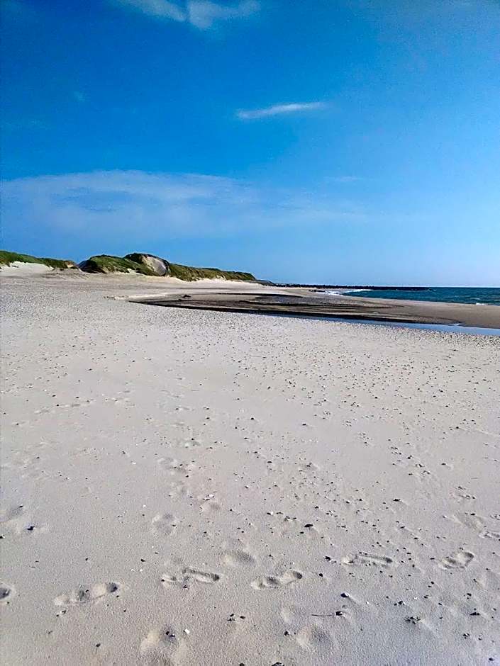 Rikke og Franks Svineri