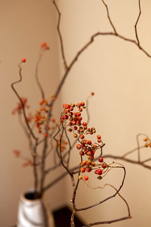 Rinn Tofukuji Kamogawa