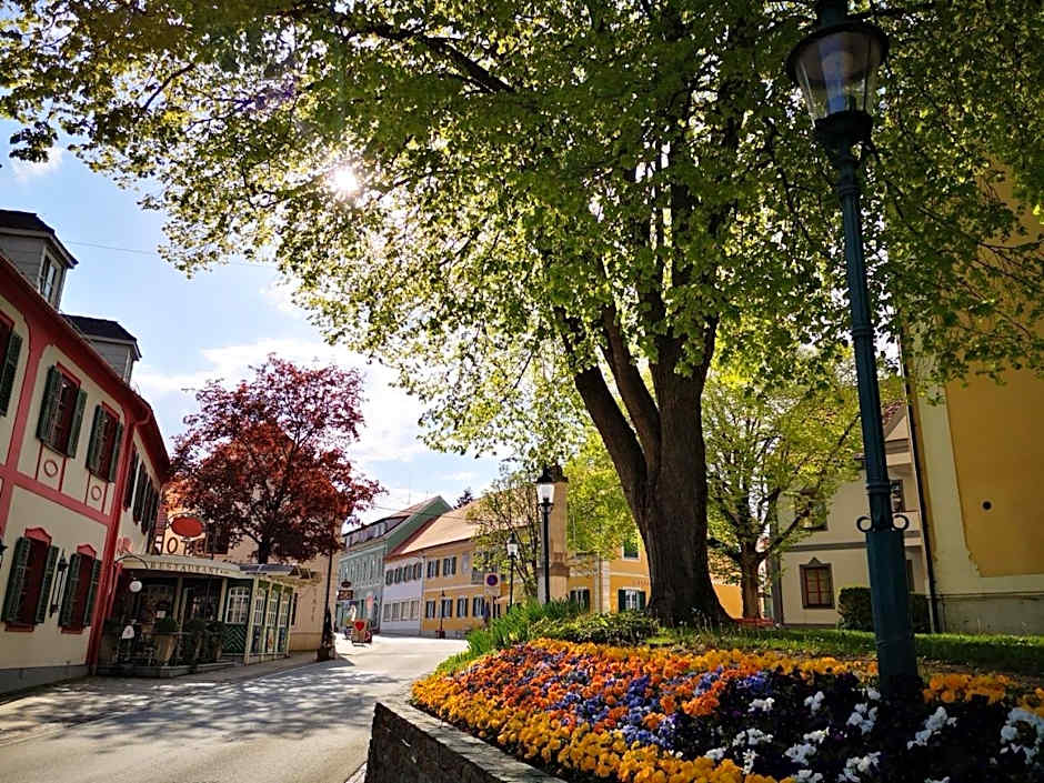 Aparthotel "Goldener Hahn Apartments"