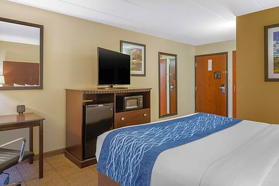Comfort Inn Grand Rapids Airport