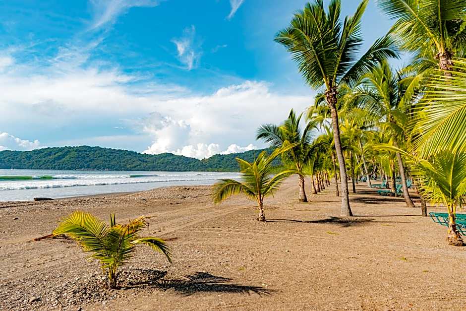 Barcelo Tambor- All Inclusive