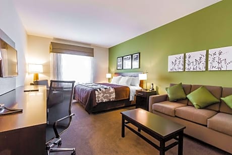 1 King Bed, Suite, Nonsmoking
