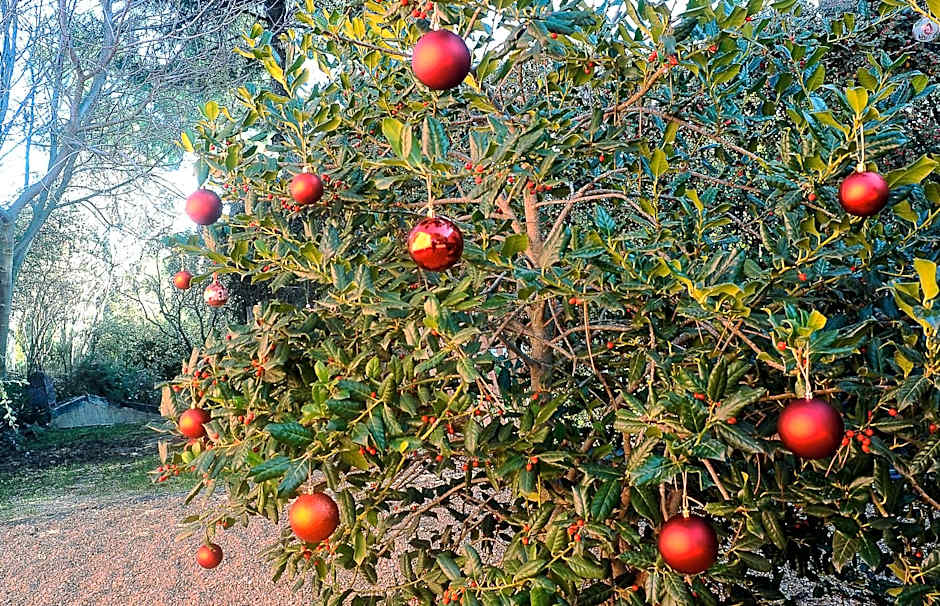 Hotel Boutique Pinar by Bossh! Hotels