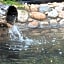 Dormy Inn Kofu Natural Hot Spring