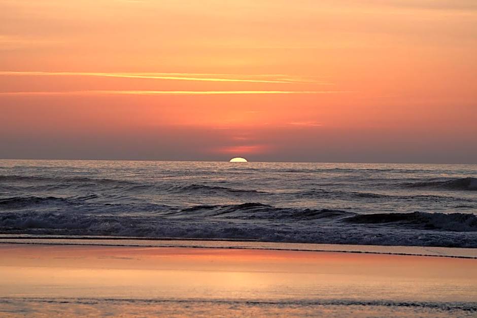 El Gato Gordo - bike & surf house