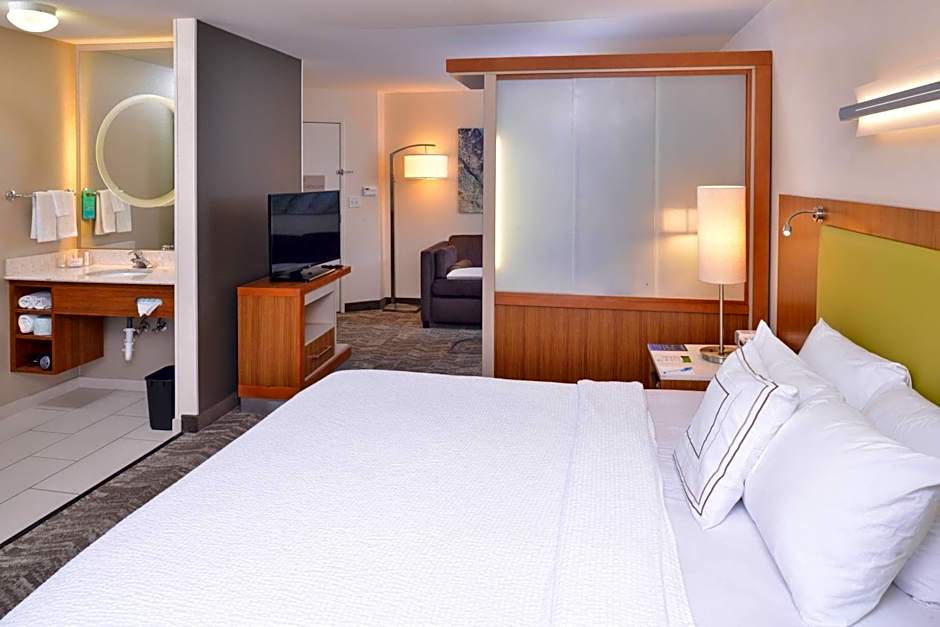 Photo 1 of 4 of 1 King Bed with Sofabed Suite