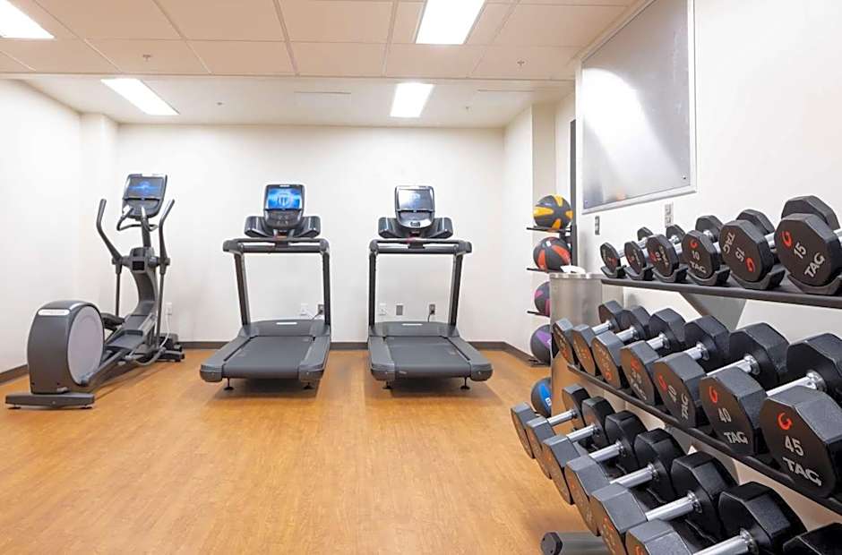 The Kelly Birmingham, Tapestry Collection by Hilton