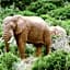 Addo African Home