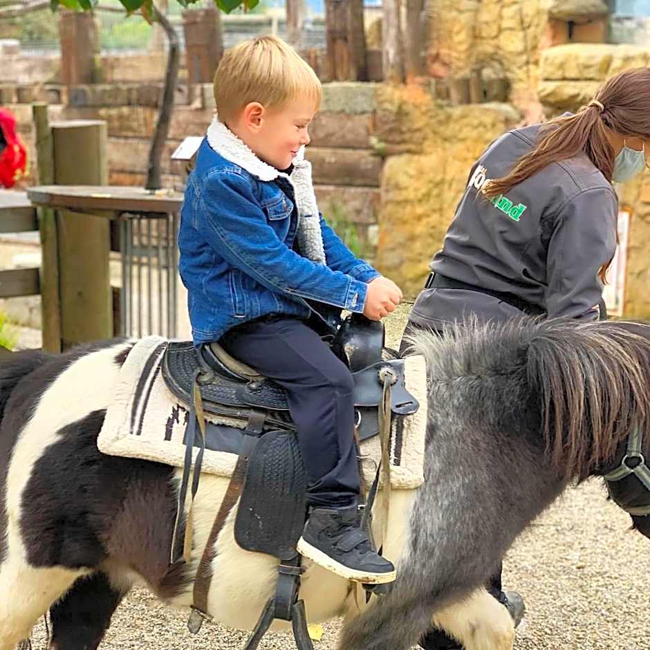 Bed & Breakfast Reaktiv