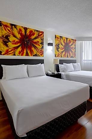 Special Offer - Twin Room