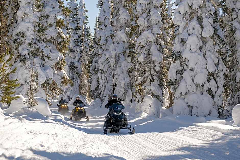 Explorer Cabins at Yellowstone