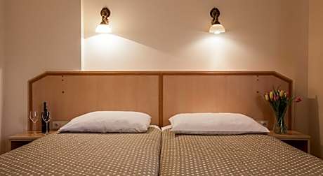 DOUBLE SINGLE USE STANDARD