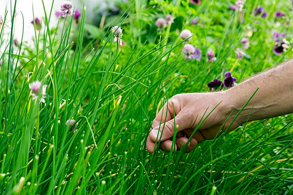 Chalet-Hôtel Le Beausoleil, The Originals Relais (Hotel-Chalet de Tradition)