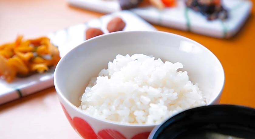 Narita AIC Airport Hotel