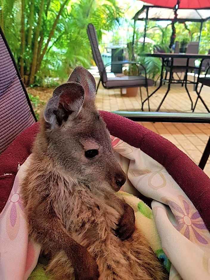 Ningaloo Lodge Exmouth