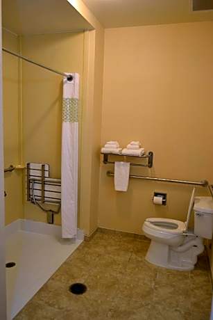 1 King Mobility Hearing Accessible Roll In Shower Non-Smoking