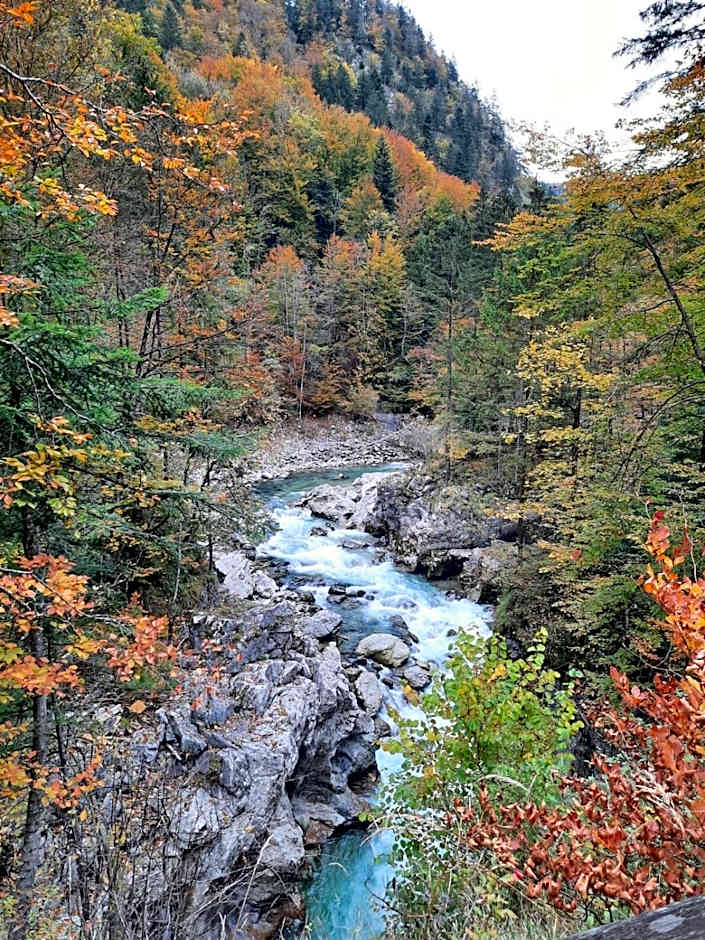 Steinerhaus Berggasthof