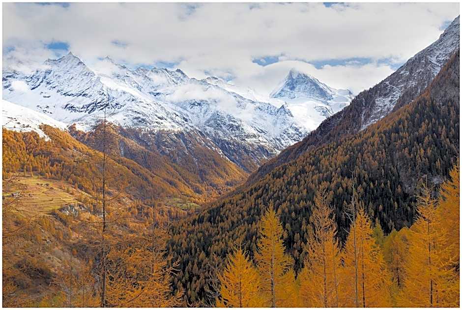 Apartment Chalet Mont Noble, 4 Vallées