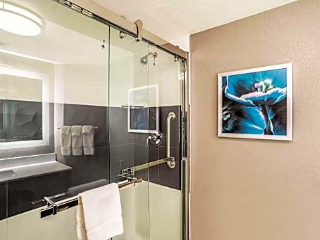 Deluxe King Suite - Non-Smoking