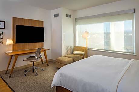 Guest room, 1 King, City view