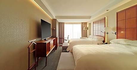 Deluxe Double Room with Park View