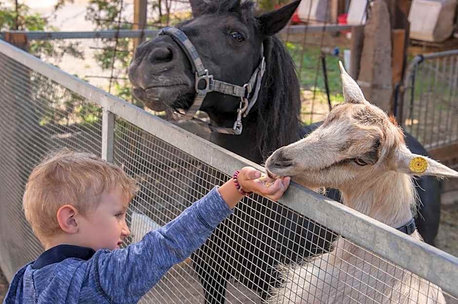Appartement- und Wellnesshotel Winkler