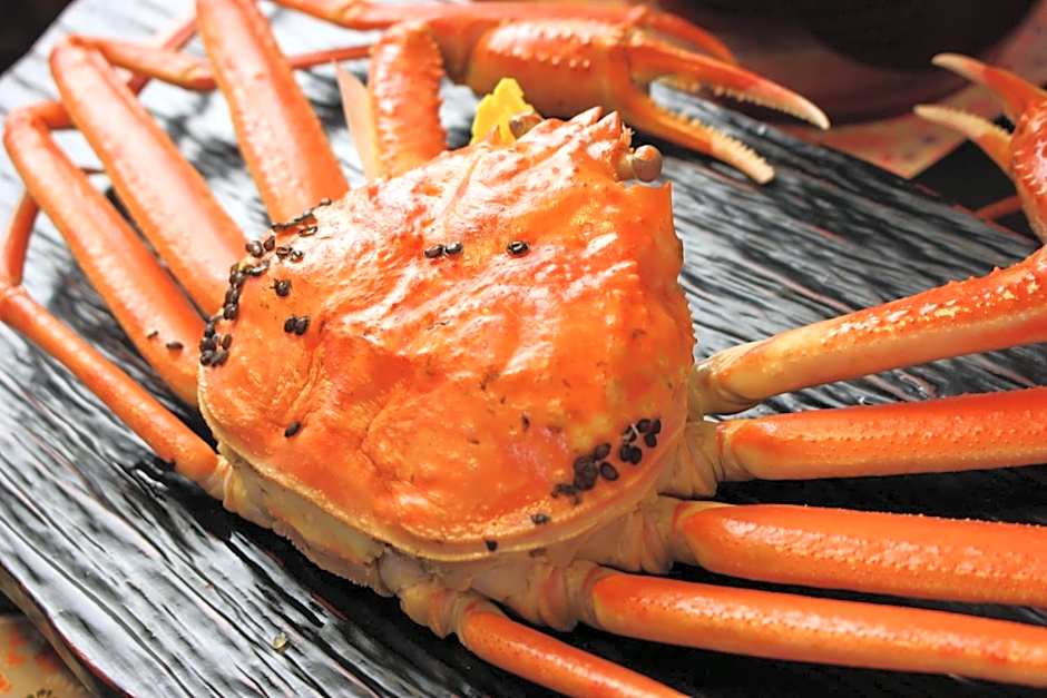 Tojinbo Mikuni Onsen Ootoku