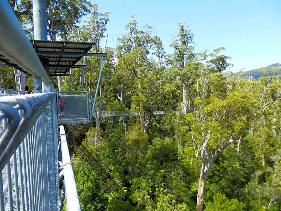 Tahune AirWalk Cabin and Lodge