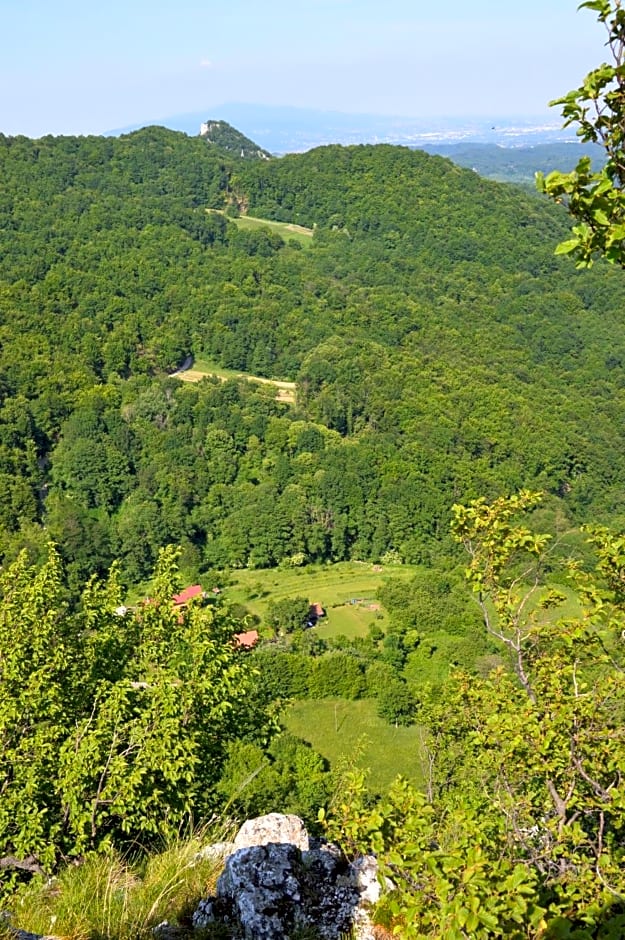 Na Okić - a private forest oasis