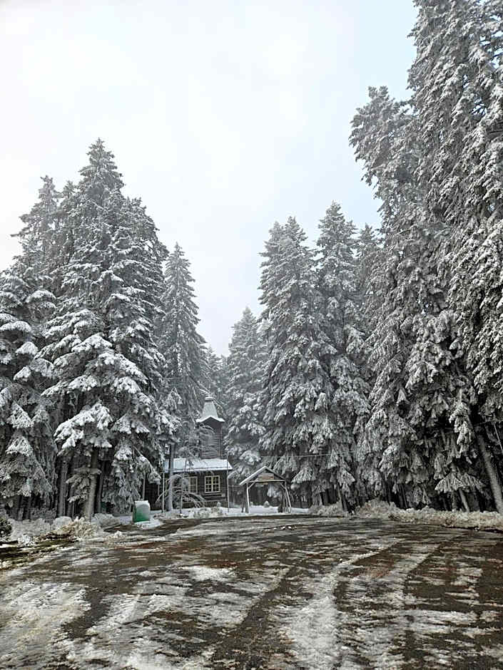 Enjoy Studios and Lovely Apartment Villa Park