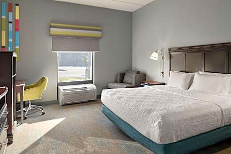 1 King Mobility/Hearing Acc Ri Shower Nosmok